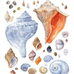 Seashell Watercolor Print